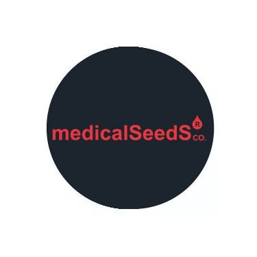 Semi autofiorenti Medical Seeds